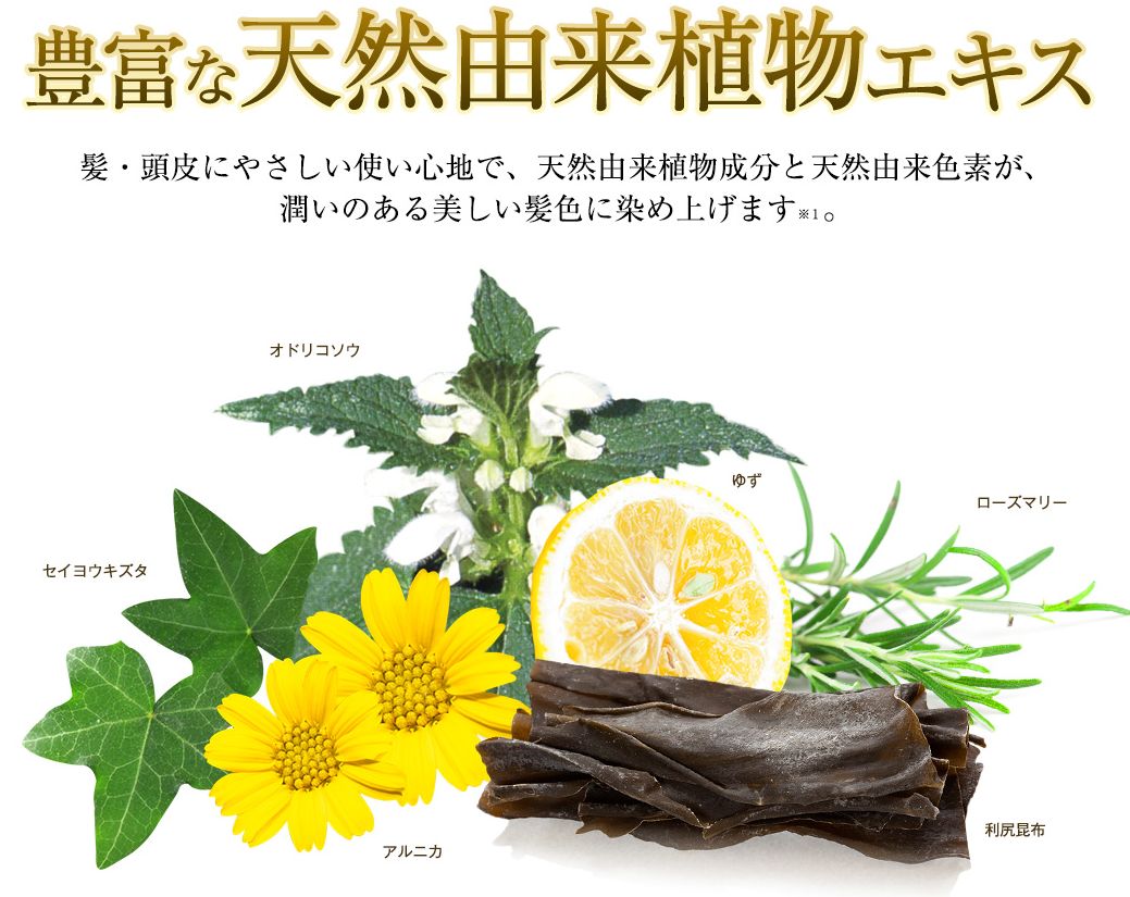 利尻ヘアカラートリートメント5