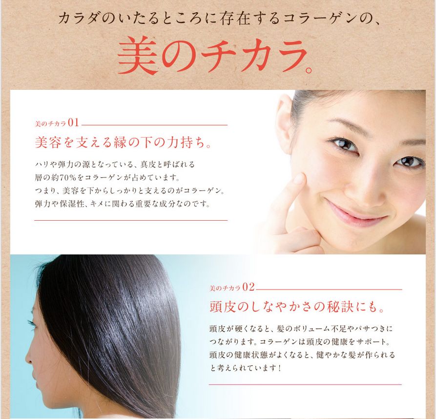 ニッピコラーゲン3