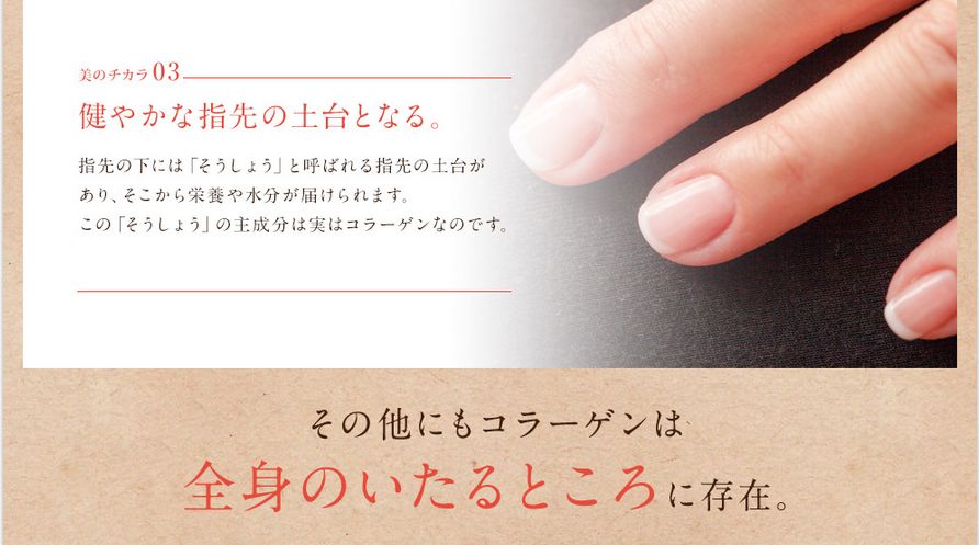 ニッピコラーゲン4