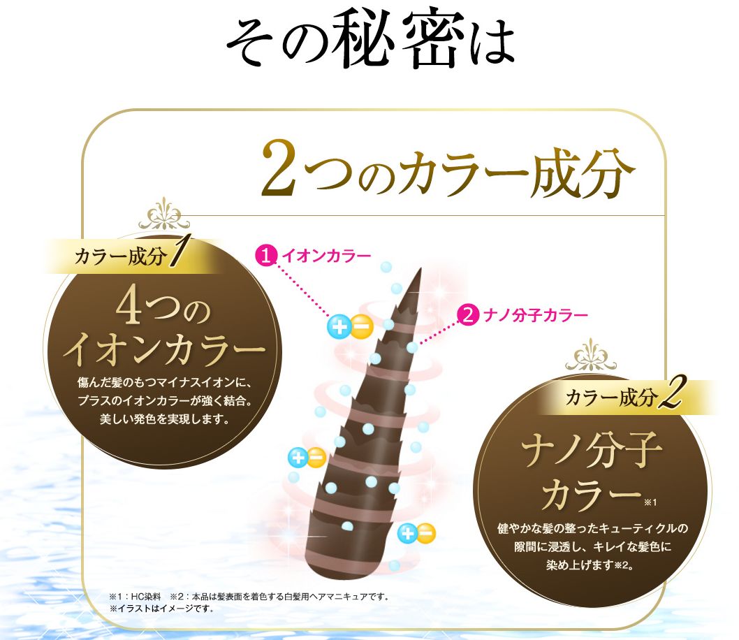 利尻ヘアカラートリートメント2