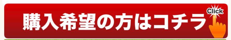 チャップアップ6